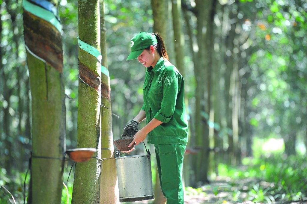 Cao su Phước Hòa tinh gọn bộ máy, nâng cao hiệu quả quản trị